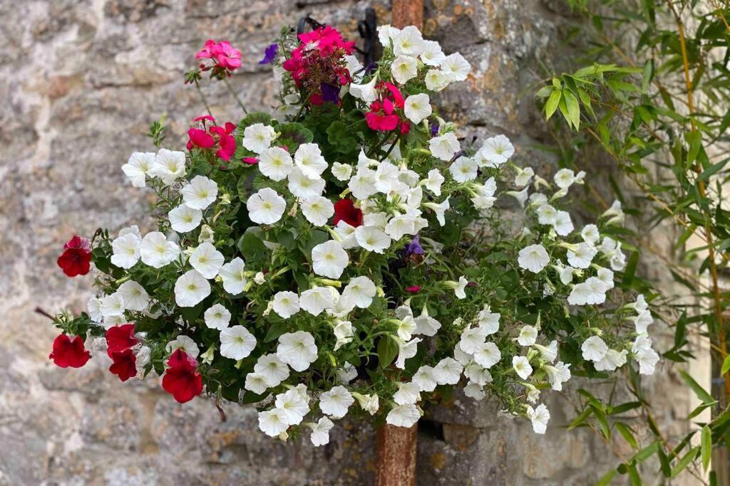 Appartamento The Old Manor Coach House Cirencester Esterno foto