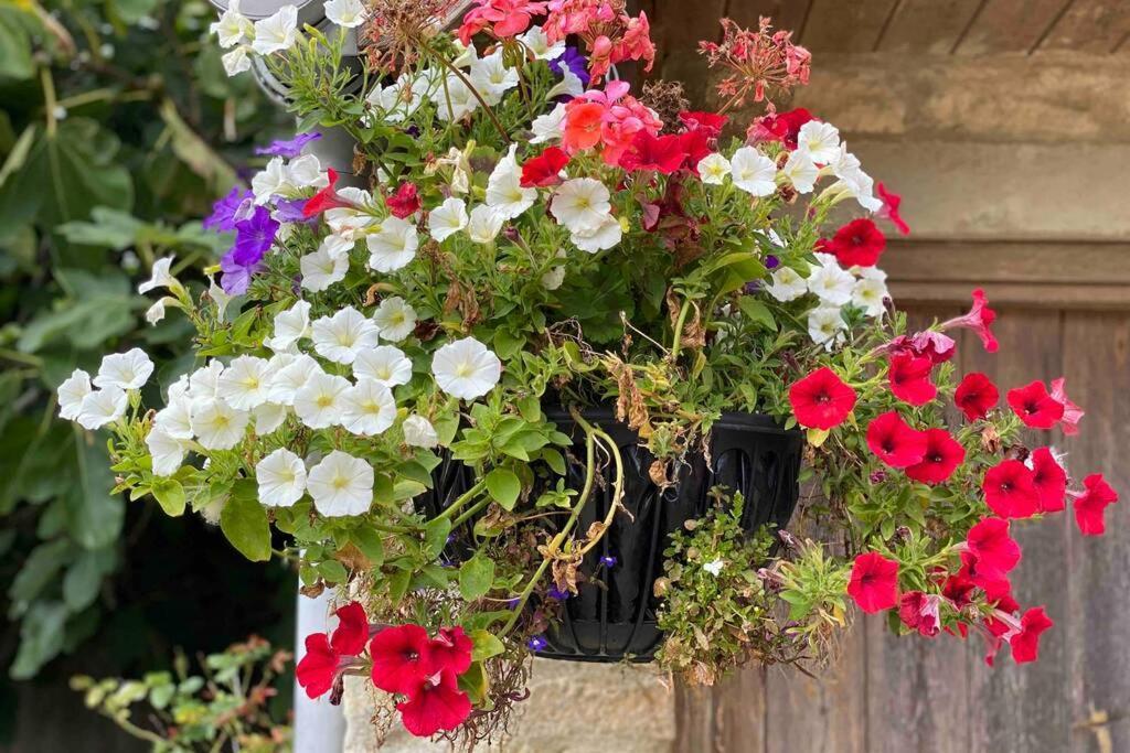 Appartamento The Old Manor Coach House Cirencester Esterno foto