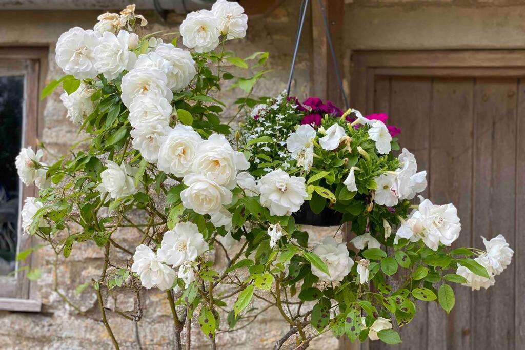 Appartamento The Old Manor Coach House Cirencester Esterno foto